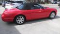 2002 Torch Red /Two Tone Red & Black Ford Thunderbird Premiunm (1FAHP60AX2Y) with an 3.9L V8 DOHC 32V engine, 5-Speed Automatic Overdrive transmission, located at 827 W 26th Street, Erie, PA, 16508, (814) 455-3401, 42.105431, -80.090942 - Thanks for looking at our super clean accident-free Florida owned new arrival. This is the Premium edition with the two-tone seats, door panels, lower dash plus leather seating, and it also comes with a like new interior. This car also comes with the hard top and stand, the parade boot, owner's manu - Photo#3